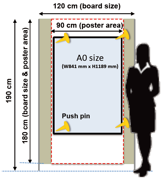 sizes of poster board